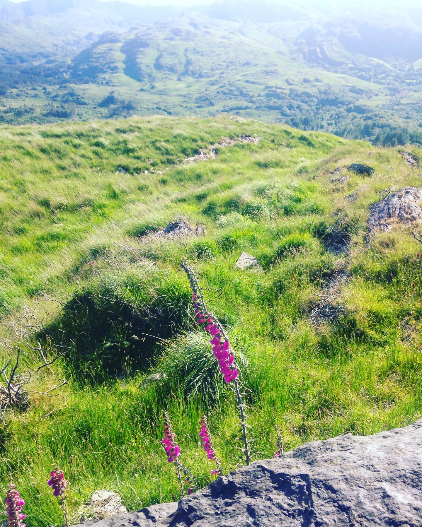 Ireland 1